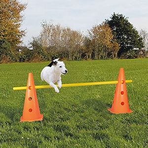 Horde met pylonen voor honden agility - pionnen met gaten en een stabiele kunststof verbindingsstang