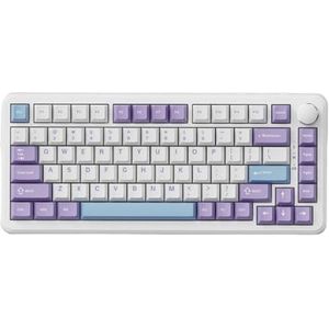 QPSJXN WLAN mechanisch toetsenbord met drie modi magnetische schakelaar 058 inch kleurenscherm en 01 mm triggerlijn (Wired Purple White)