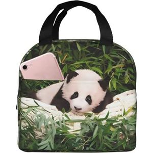 Schattige kleine panda, uniseks, verdikte geïsoleerde lunchtas met voorvak voor werk, reizen, wandelen, picknick