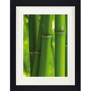 1art1 Bamboe Poster Stems Close-Up Ingelijste Foto Met Passepartout | Muur Foto's | In Een Fotolijstje 40x30 cm