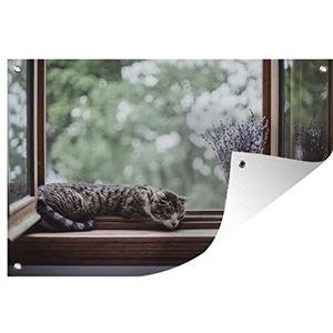 Tuinposter - 90x60 cm - Cyperse kat uit het raam