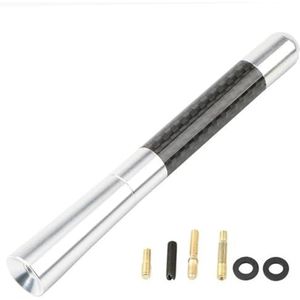 Audio- & videoantennes voor auto 3,5 cm/8 cm/12 cm universele korte autoradioantenne koolstofvezel zwarte dakantenne FM/AM metalen ontvangstantennes Autoradio Antenne(Silver,12cm)