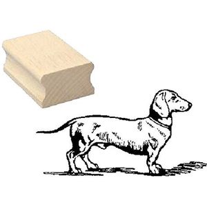 Stempel houten stempel motiefstempel « DACKEL KORT HAAR » Scrapbooking - Embossing Kinderstempel Dierenstempel Teckel Hond Huisdier