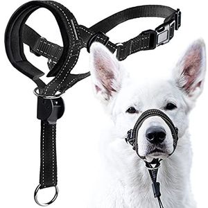 GoodBoy Halster voor hondenkop met veiligheidsriem - Stopt zwaar trekken aan de riem - Gewatteerde halsband voor kleine, middelgrote en grote hondenmaten - inclusief hoofdhalsband trainingsgids (maat