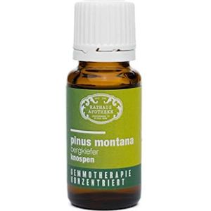 RATHAUS APOTHEKE WIEN geconcentreerd knopextract - Gemmotherapie - Pinus montana - De bergden - 15 ml