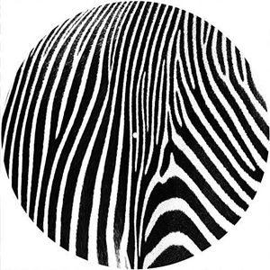 Slipmats Slipmat vilt voor elke 12"" LP DJ vinyl draaitafel platenspeler aangepaste afbeelding - Zebra 2