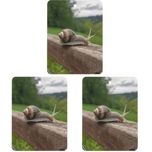 3 Pack Auto Luchtverfrisser Opknoping Wierook Chips Automotive Geurende Opknoping Lakens voor Auto Thuis Auto Interieur Decor, Slak op Houten Railing