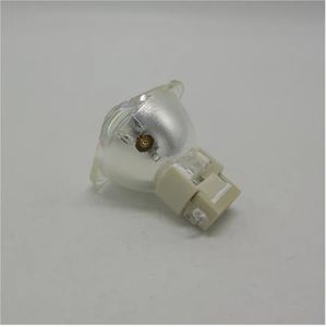 Vervangingslamp 9E.0C101.011 for SP920