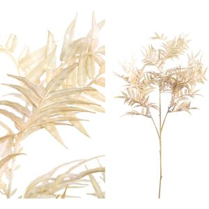 Fern Plant gold fern leaf