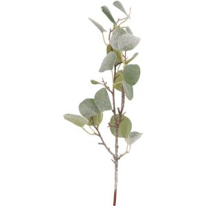 Eucalyptustak kunststof | 43 cm
