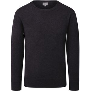 CASH-MERE.CH Trui  antraciet