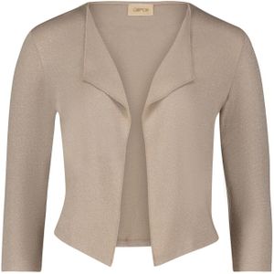 Gebreid vest