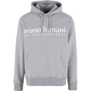 Bruno Banani Sweatshirt  grijs / wit