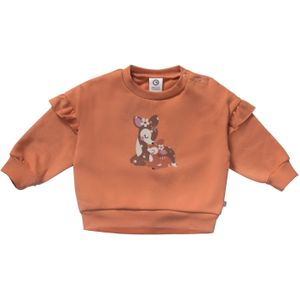 Müsli by GREEN COTTON Trui  bruin / oranje / rosa