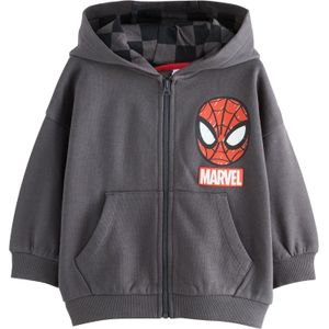 Next Sweatvest  donkergrijs / gemengde kleuren