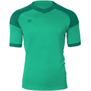 Stark Soul Functioneel shirt 'Pulse'  groen