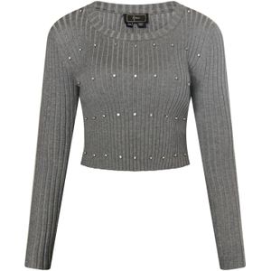 faina Trui  donkergrijs / zilver