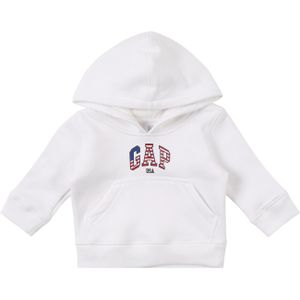 Sweatshirt 'NOVELTY USA'