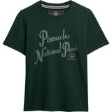 Superdry Shirt  groen