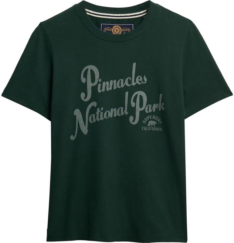 Superdry Shirt  groen