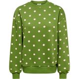 JDY Sweatshirt 'JDYTENA'  groen / wit
