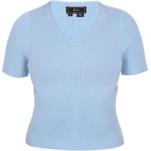 faina Trui  lichtblauw