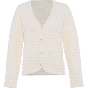 faina Gebreid vest  wolwit