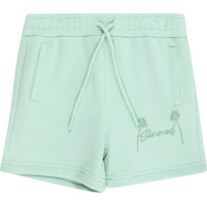 Sinned x ABOUT YOU Broek 'Sven'  mintgroen / lichtgroen