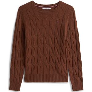 TOMMY HILFIGER Trui  bruin