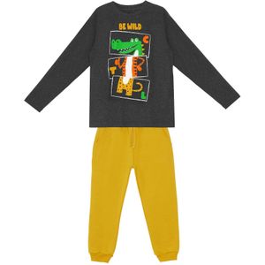 Denokids Trainingspak 'Be Wild'  antraciet