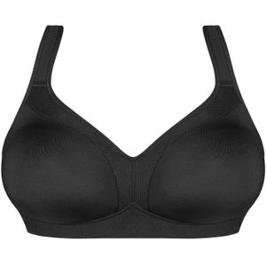 Gorsenia BH 'K422 Anya'  zwart