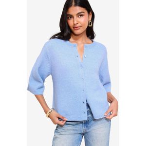 Friends Like These Gebreid vest  blauw