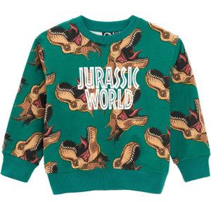 Cool Club Sweatshirt  pueblo / smaragd / wit