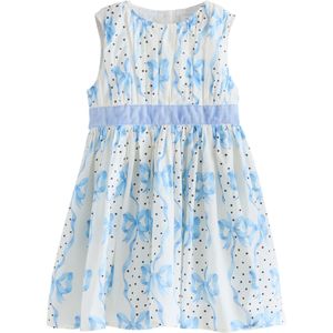 Next Jurk  ivoor / lichtblauw / lavendel / zwart