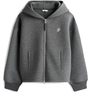 TOMMY HILFIGER Sweatvest  donkergrijs