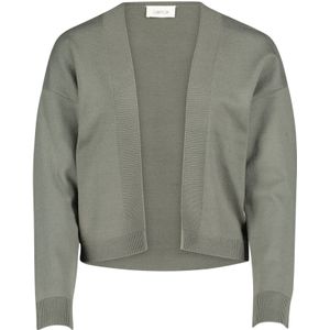 Cartoon Gebreid vest  kaki