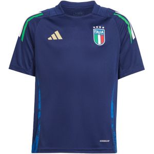Functioneel shirt 'Italy Tiro 24'