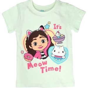 Gabby`s Dollhouse Shirt 'Gabby & Cakey'  azuur / bruin / lichtgroen / pink