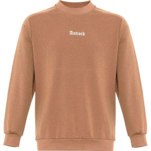 Antioch Sweatshirt  beige / wit