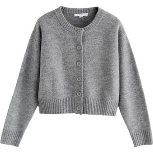 Next Gebreid vest  grijs