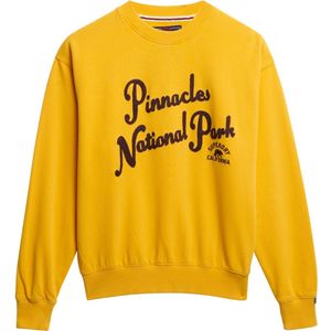 Superdry Sweatshirt  donkerbruin / curry