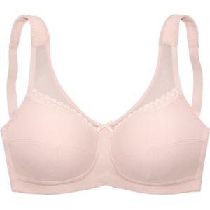 LASCANA BH  poederroze