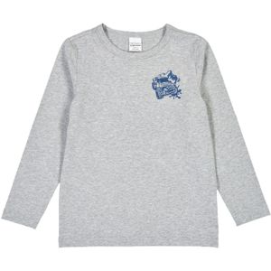 Fred's World by GREEN COTTON Shirt  blauw / grijs gemêleerd