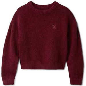 Calvin Klein Jeans Trui  rood gemêleerd