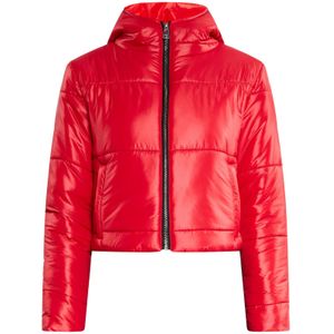 faina Tussenjas  rood