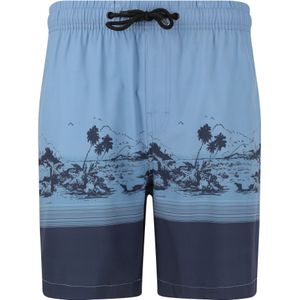 Cruz Boardshorts 'Hector'  smoky blue
