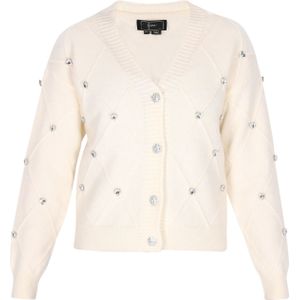 faina Gebreid vest  zilver / wolwit