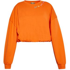 ebeeza Sweatshirt  geel / groen / oranje / pink
