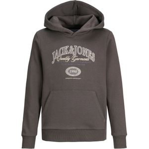 Jack & Jones Junior Sweatshirt 'JJARI'  ecru / grijs / taupe
