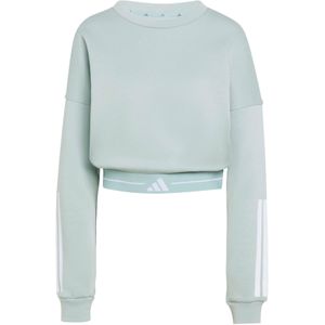 ADIDAS PERFORMANCE Sportief sweatshirt 'HYG'  pastelblauw / wit